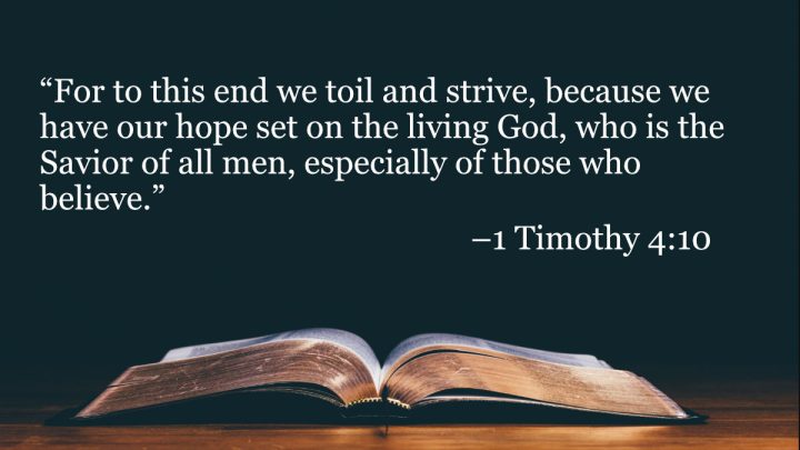 your daily bible verses 1 timothy 410