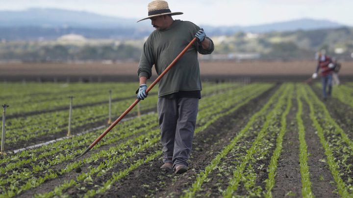 agriculture unions with churchs support fight uphill battle for farmworkers rights dignity