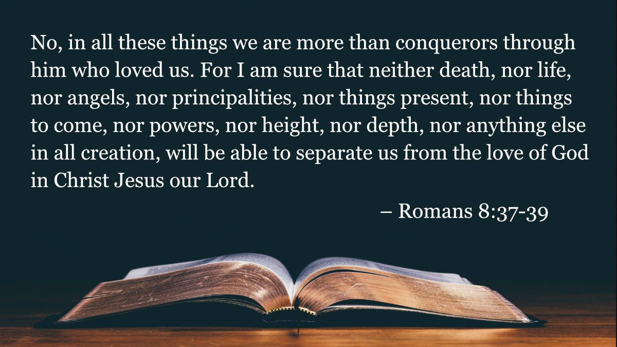 your daily bible verses romans 837 39