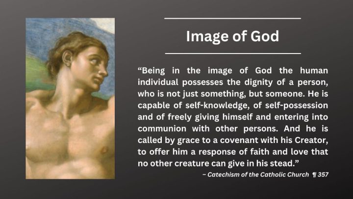 Daily Catholic Quote — Image of God