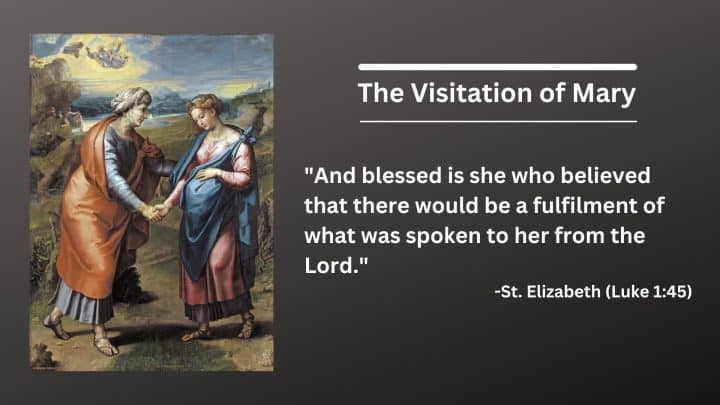 Daily Catholic Quote — Saint Elizabeth