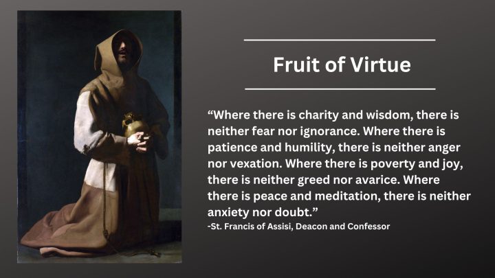 Daily Catholic Quote — Saint Francis of Assisi