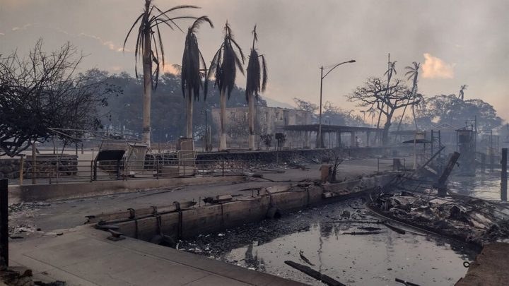 Catholics appeal for help as Biden declares Maui’s deadly fires a federal emergency