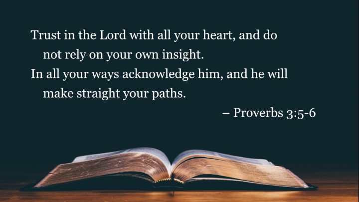 Your Daily Bible Verses — Proverbs 3:5 6