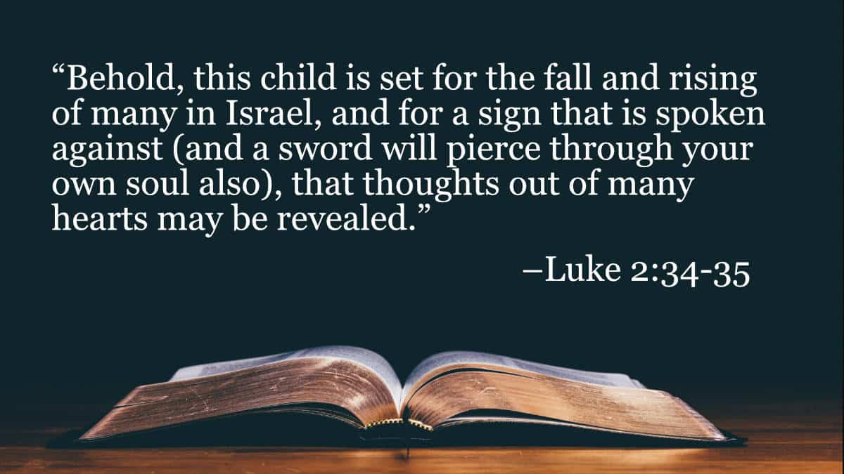 Your Daily Bible Verses — Luke 2:34 35
